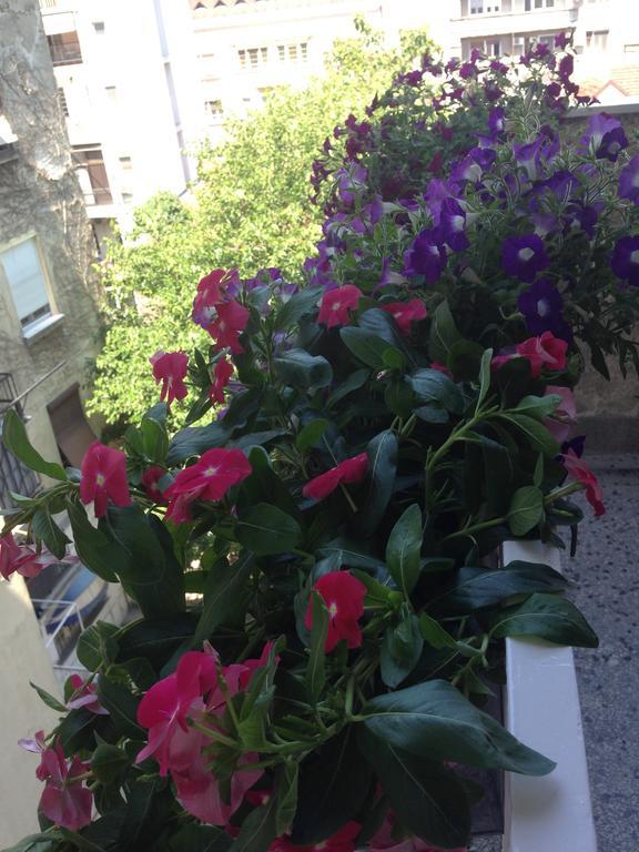 Apartment Bohemian Rhapsody Belgrad Zimmer foto